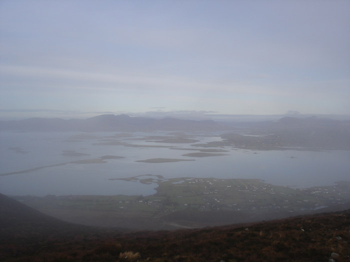 DSC09301