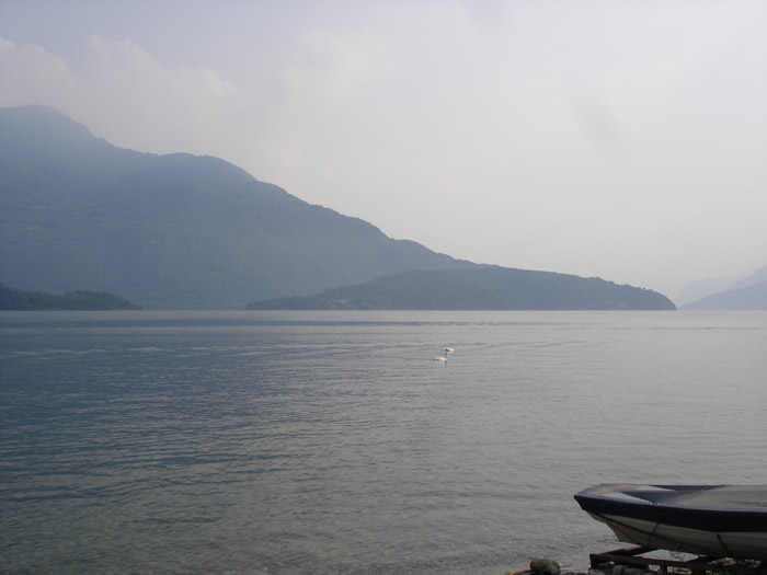 DSC08591