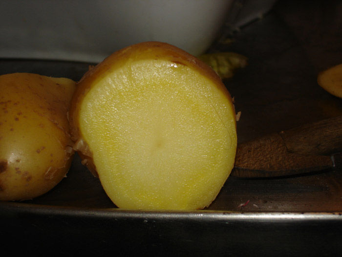 DSC06602