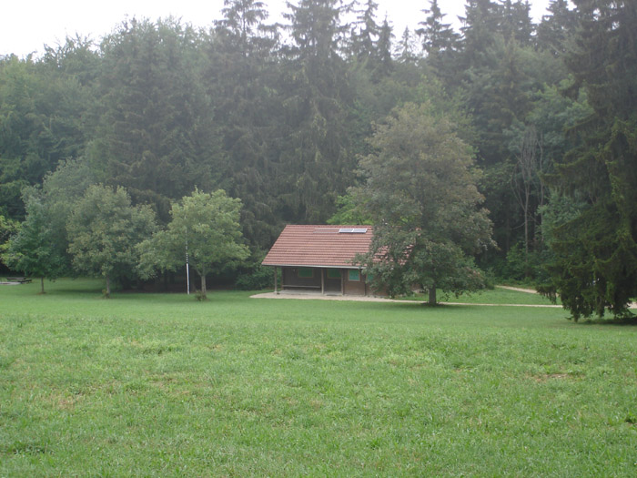 DSC06651