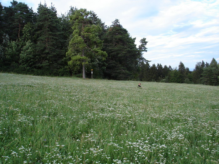 DSC06683