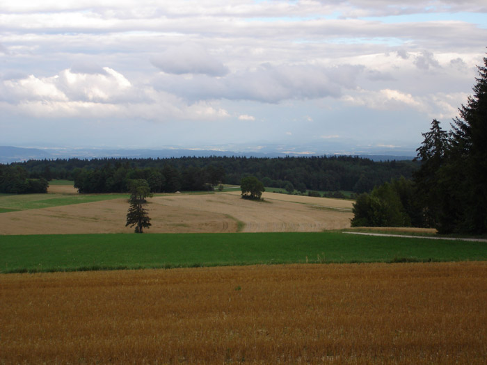 DSC06689