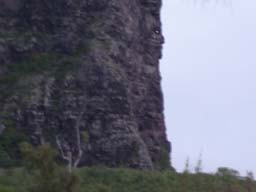 038_Gesicht_lemorne
