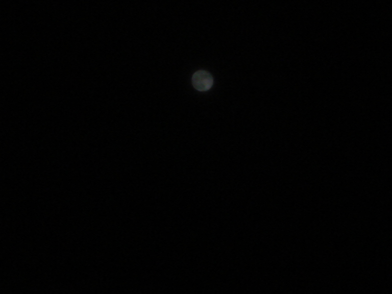 DSC09658