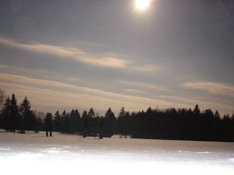 DSC09673_Vollmondnacht