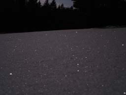 DSC09671_Schnee_bei_vollmond